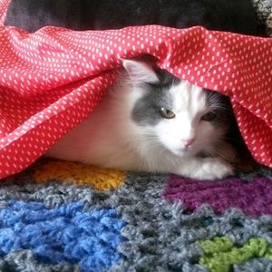 Meet your Posher, Emma