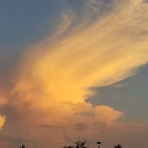 Meet your Posher, Sabrina