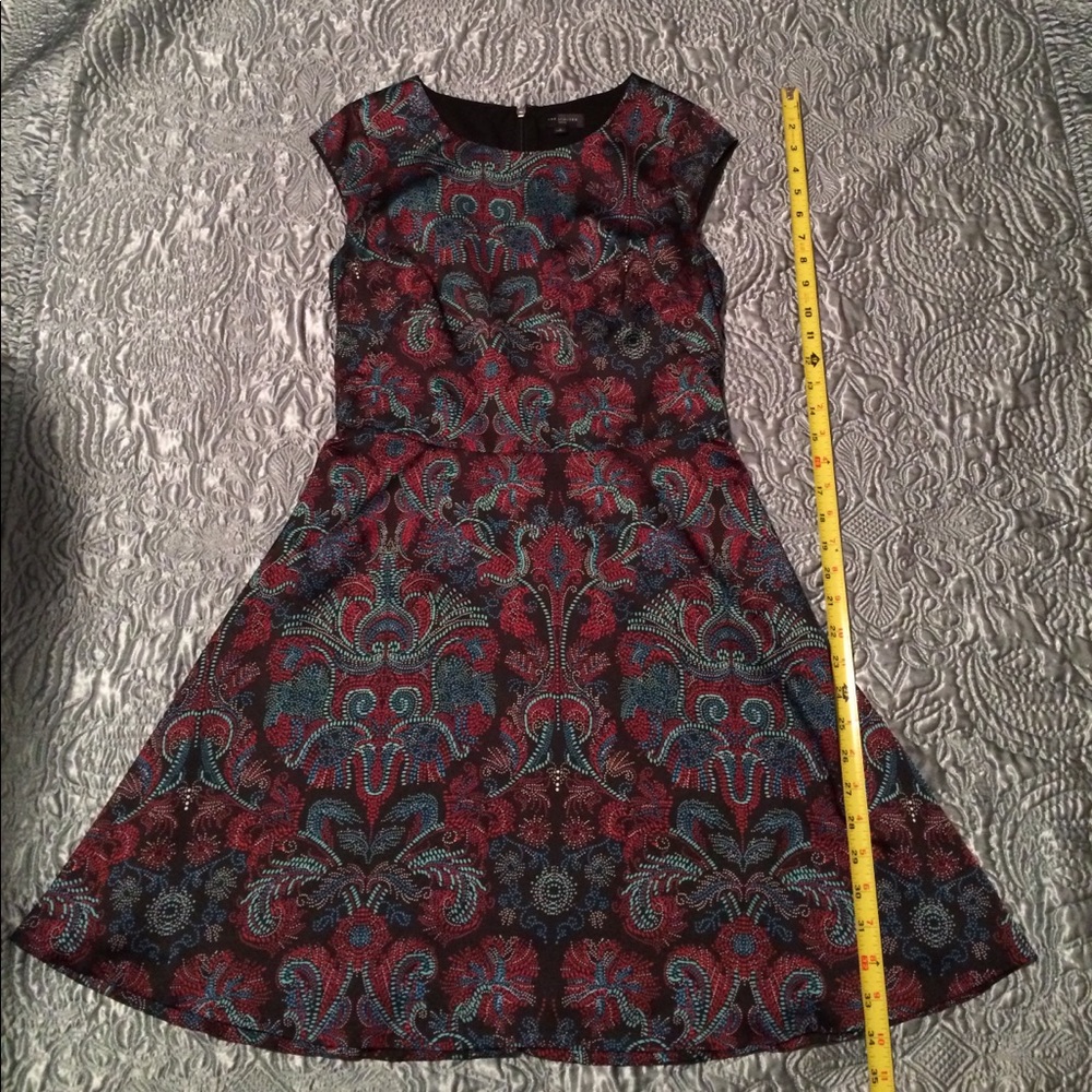 The Limited Multicolor Fit and Flare