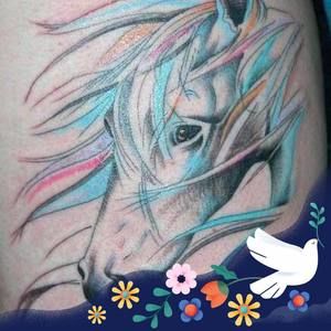 Meet your Posher, Dawn