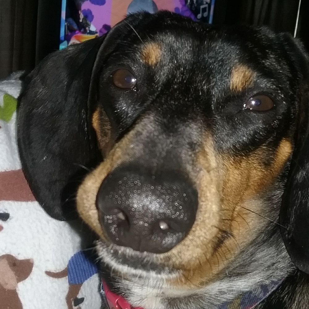 Meet your Posher, Anna