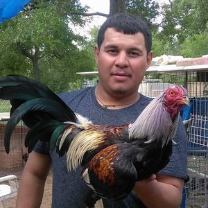 Meet your Posher, Erick