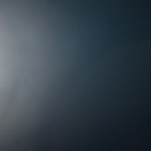 Meet your Posher, Lacy