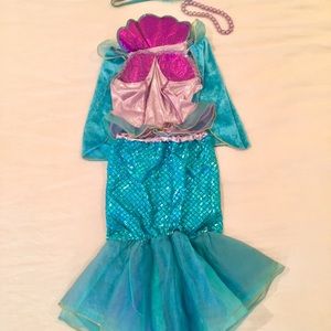 Mermaid Costume - Beautiful!
