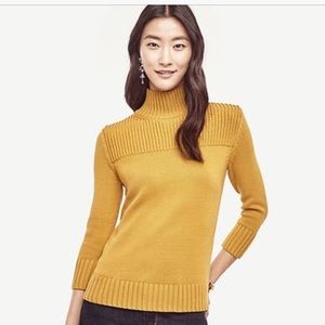 Ann Taylor Ribbed Turtleneck NWT
