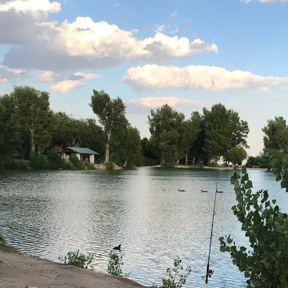 Meet your Posher, Peleg - Picture 1 of 1