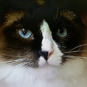 Meet your Posher, Lori