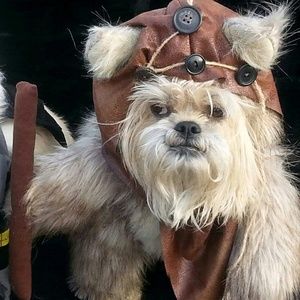 Meet your Posher, Karin