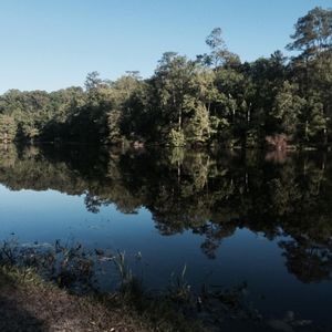 Meet your Posher, Kerrie