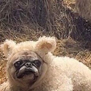 Meet your Posher, Jack