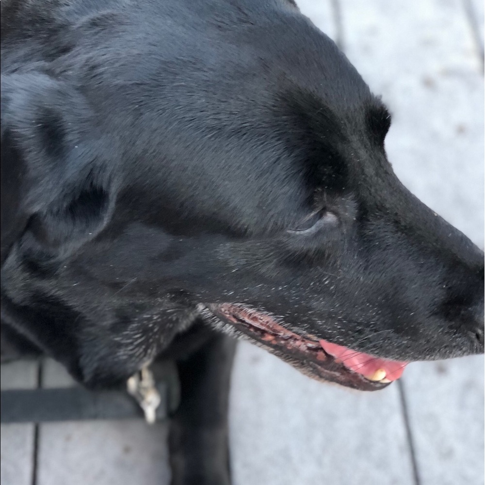 Meet your Posher, Sof