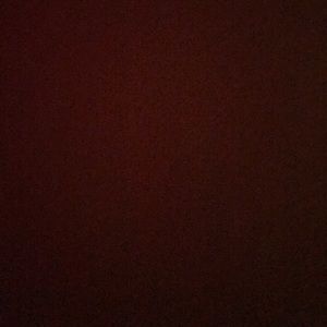 Meet your Posher, Dane