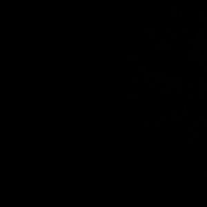 Meet your Posher, Dink