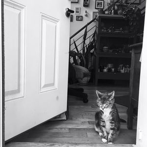 Meet your Posher, Shino