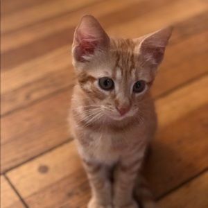 Meet your Posher, Katherine