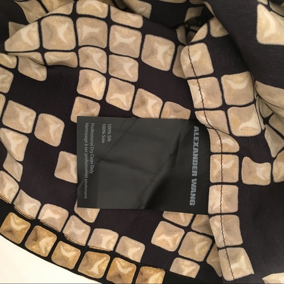 A L E X A N D E R  W A N G - Picture 7 of 7