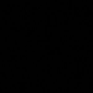 Meet your Posher, Vineshia