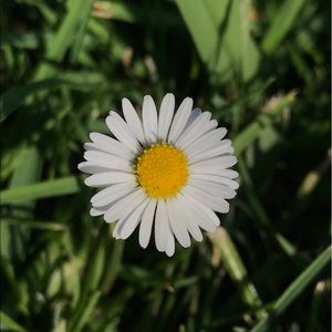 Meet your Posher, Kassandra