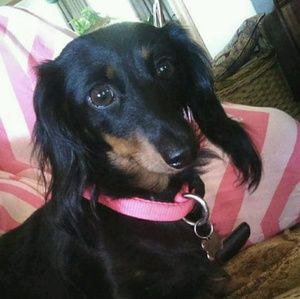 Meet your Posher, Miranda