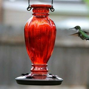 Meet your Posher, Lynae