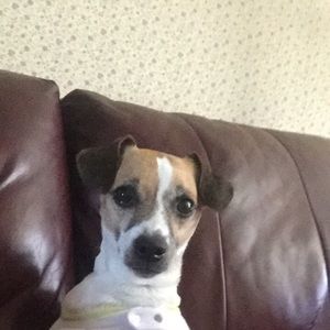 Meet your Posher, Bridgette