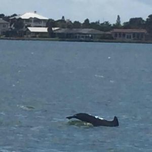 Meet your Posher, Jane