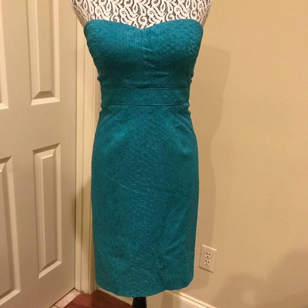 Zac Posen size 10 altered to size 6.