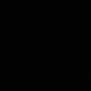 Meet your Posher, Shelly