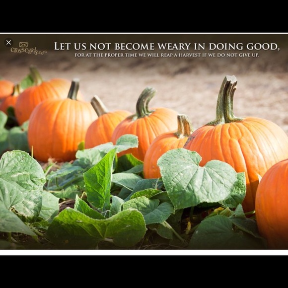 🍂🍁Welcome Fall!🍂🍁 - Picture 2 of 3