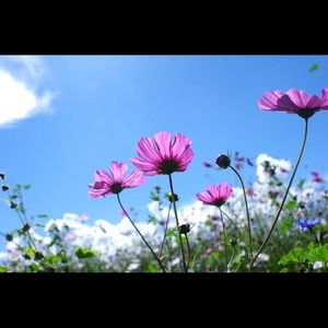 Meet your Posher, Ni