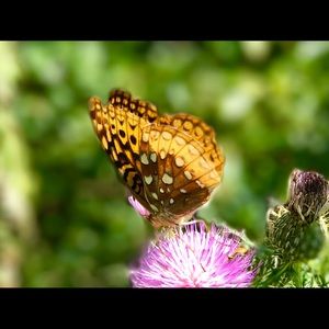 Meet your Posher, Christy