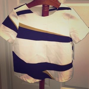 Zara Woman Color Block top Zara Woman Color Block top