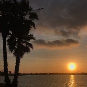 Meet your Posher, Caprice