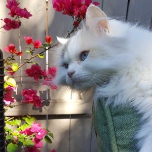 Meet your Posher, Wendy