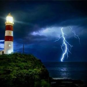 Meet your Posher, Lynn