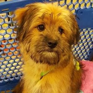 Meet your Posher, Pam