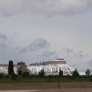 Meet your Posher, Liz