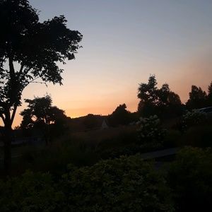 Meet your Posher, Judith