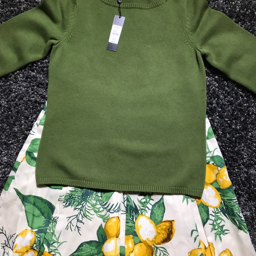Talbots Petite Green Sweater
