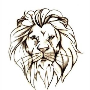 Meet your Posher, Leo