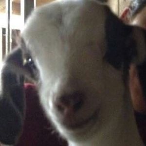 Meet your Posher, Marissa