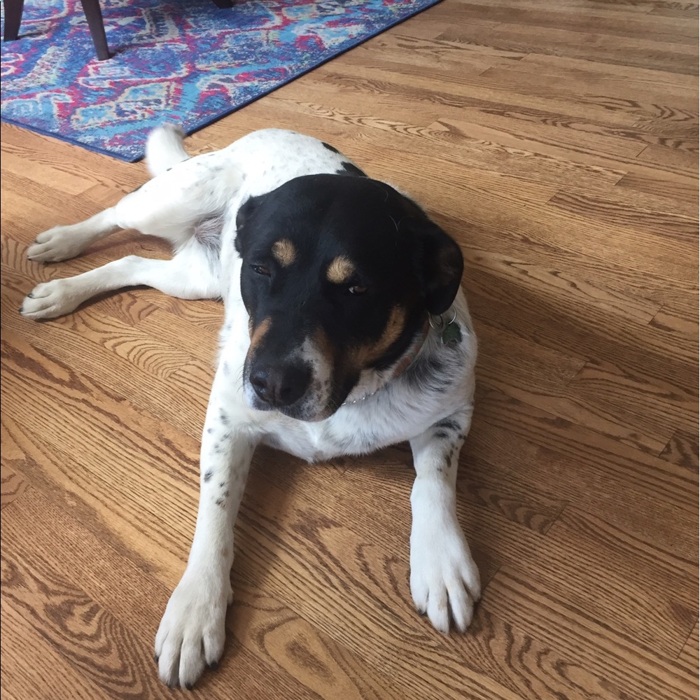 Meet your Posher, Beth