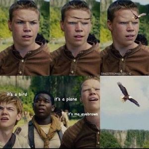 Meet your Posher, Blake