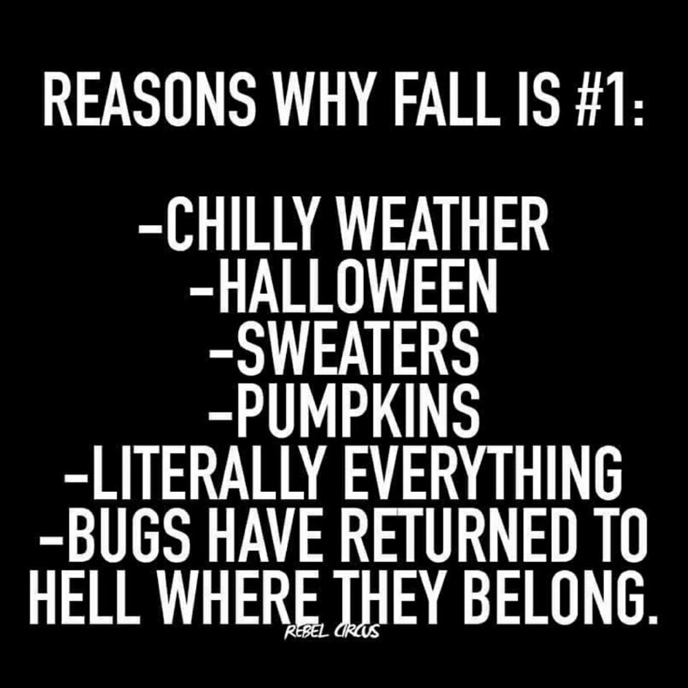 Happy Fall My Lovely Poshers!!!