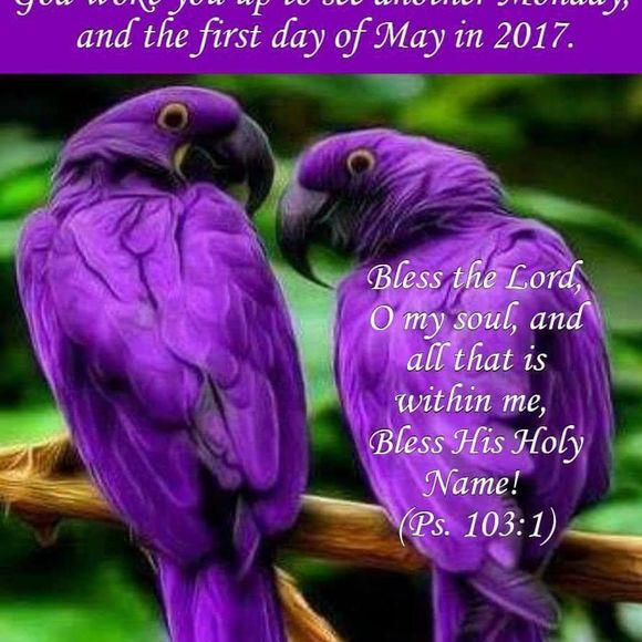 Meet your Posher, Yvette - Picture 1 of 1