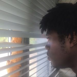 Meet your Posher, Marion