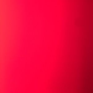 Meet your Posher, Sophie