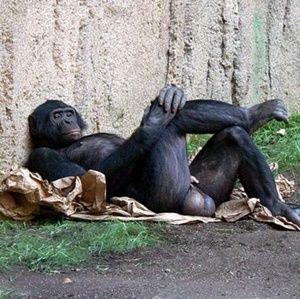 Meet your Posher, Ricky