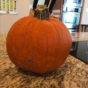 Meet your Posher, Heidi