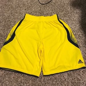 Michigan Basketball shorts | adidas